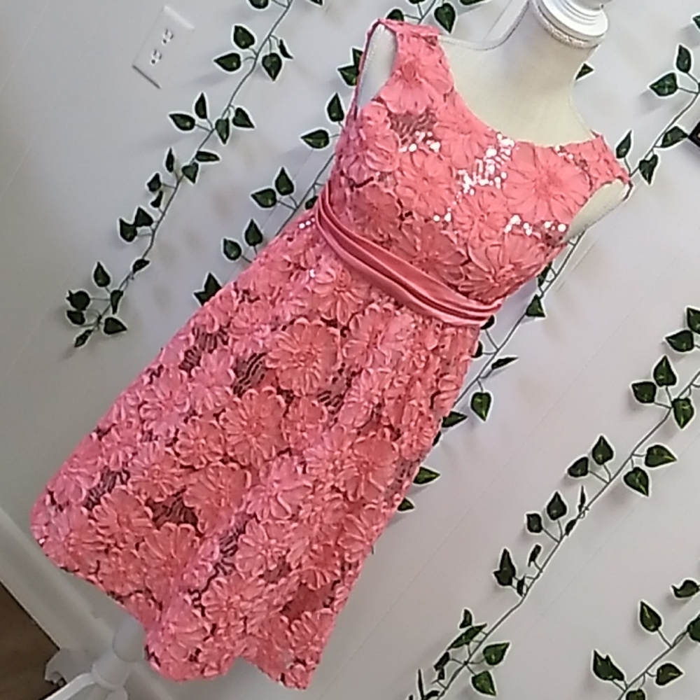 COPY - CARNATION PINK  SPRING FLORAL DRESSY DRESS SZ 12